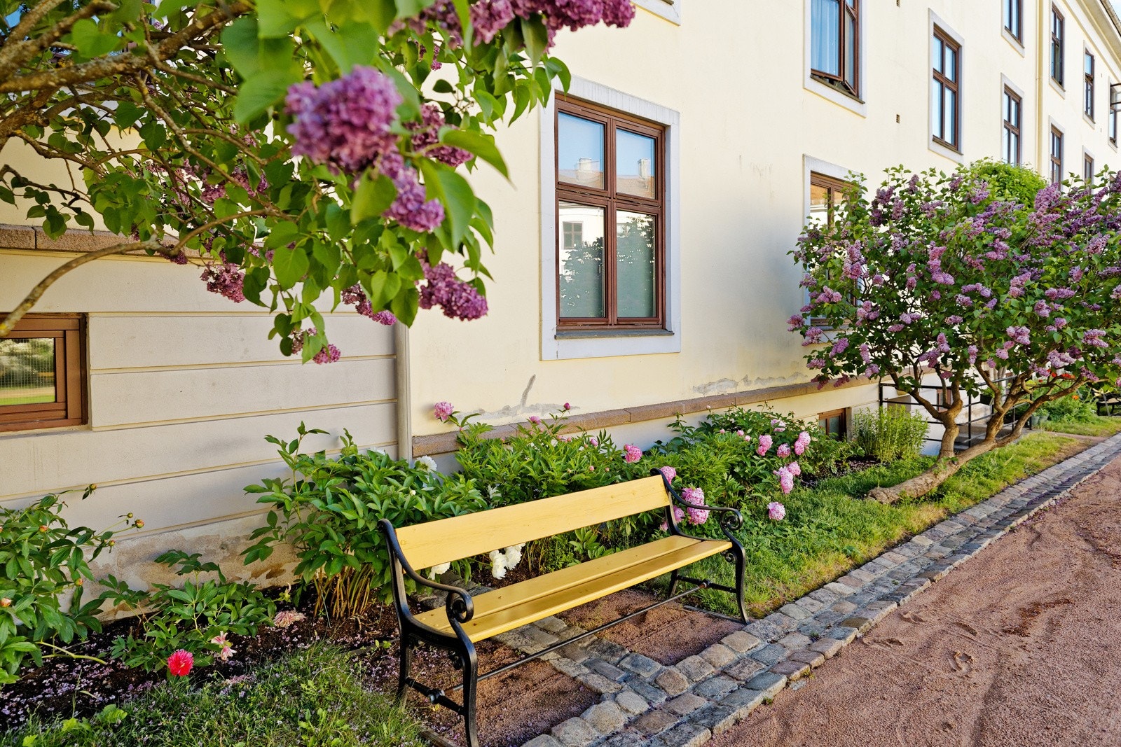 Idyllisk bakhage tegnet av Snøhetta Galleribilde