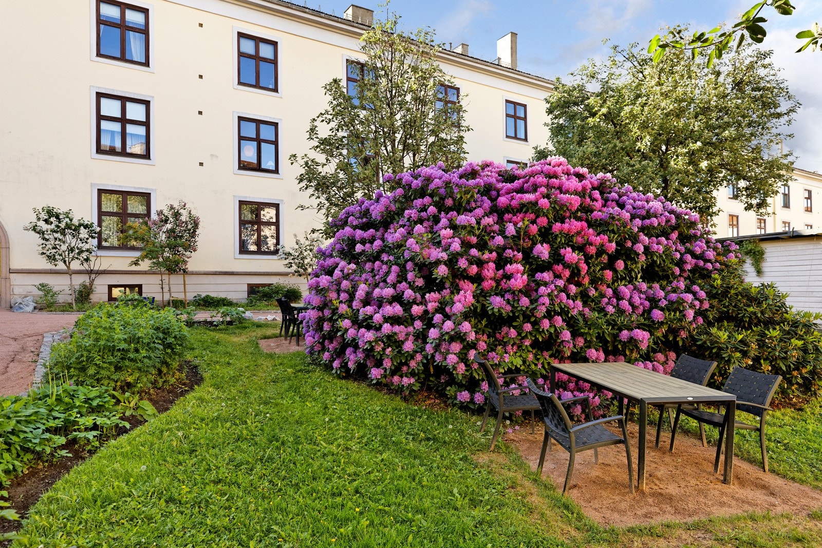 Idyllisk bakhage tegnet av Snøhetta Galleribilde