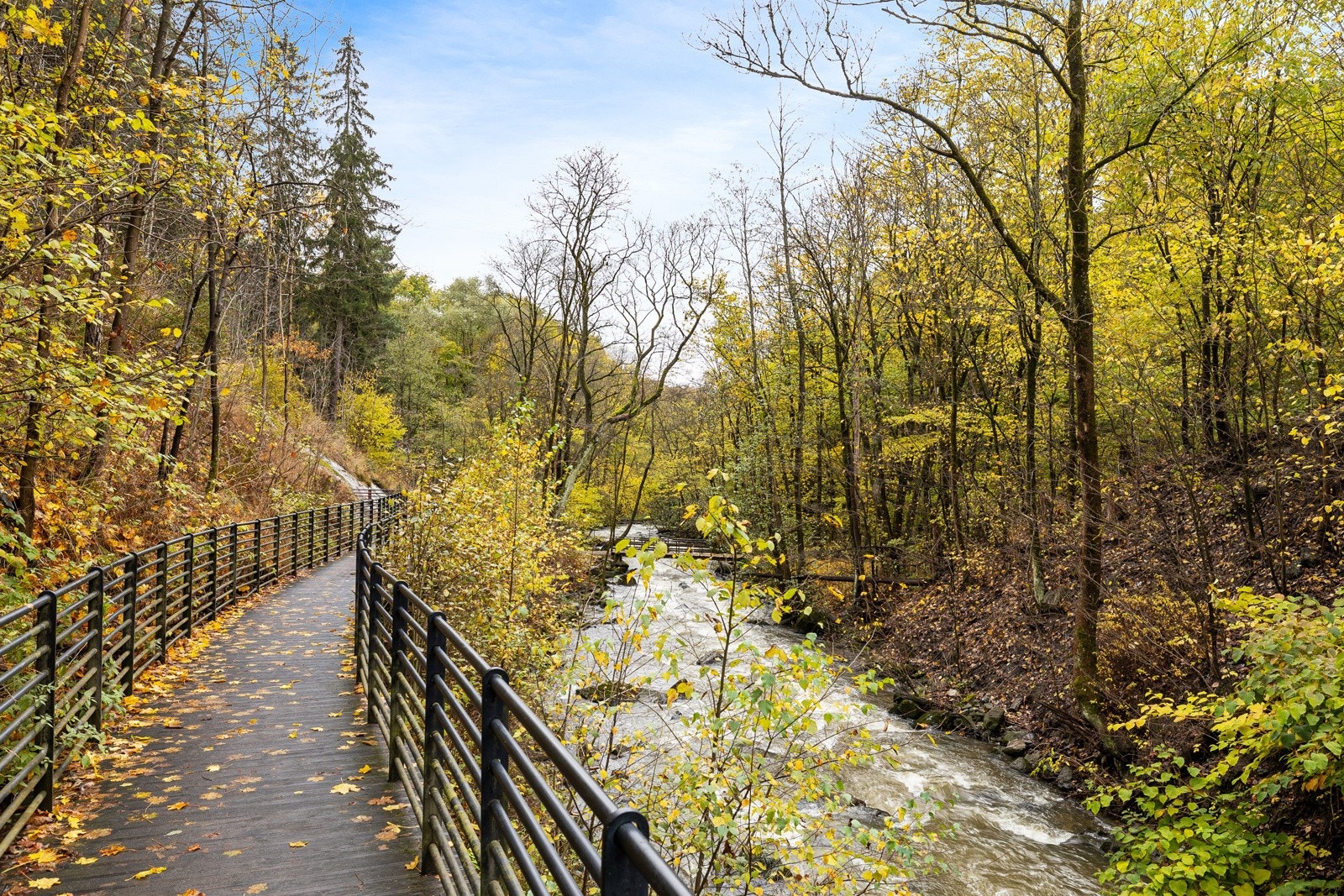 Gangavstand til Svartedalsparken som byr på gode turmuligheter Galleribilde