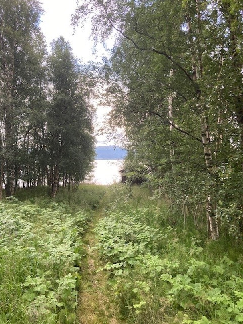 Selgers egne bilder Galleribilde