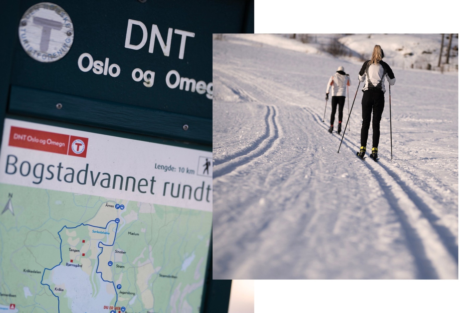 Bogstadvannet: Gode langrennsforhold og flotte turstier året rundt. Galleribilde