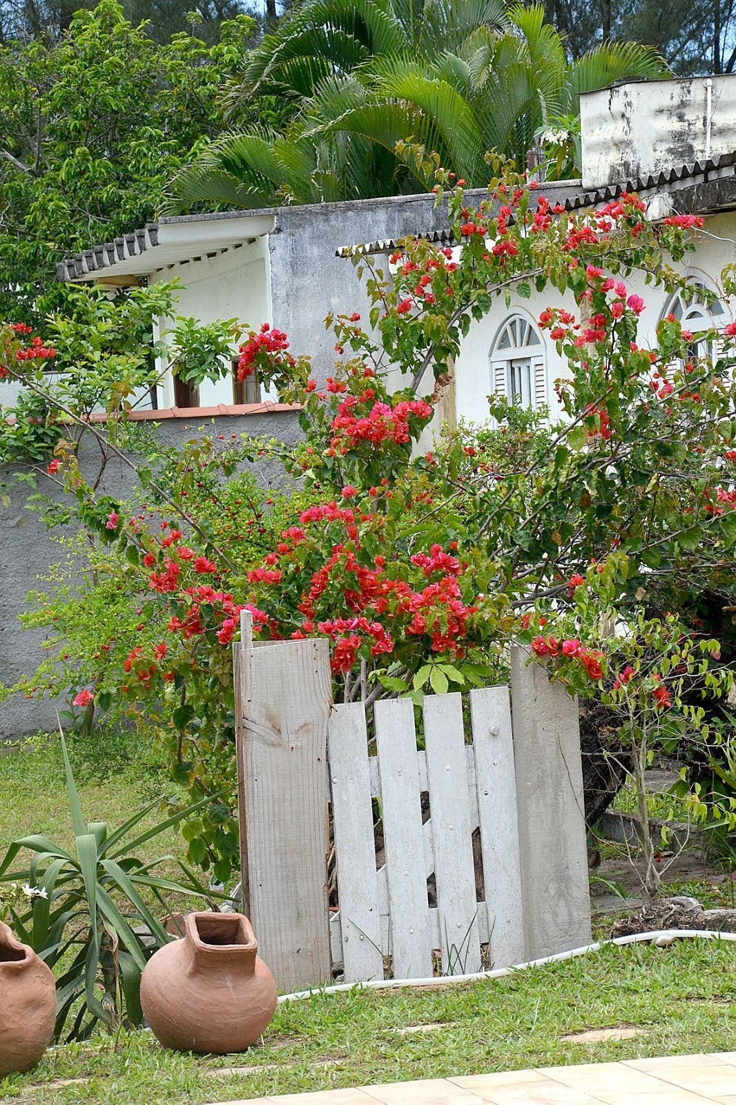Annekset med hage Galleribilde