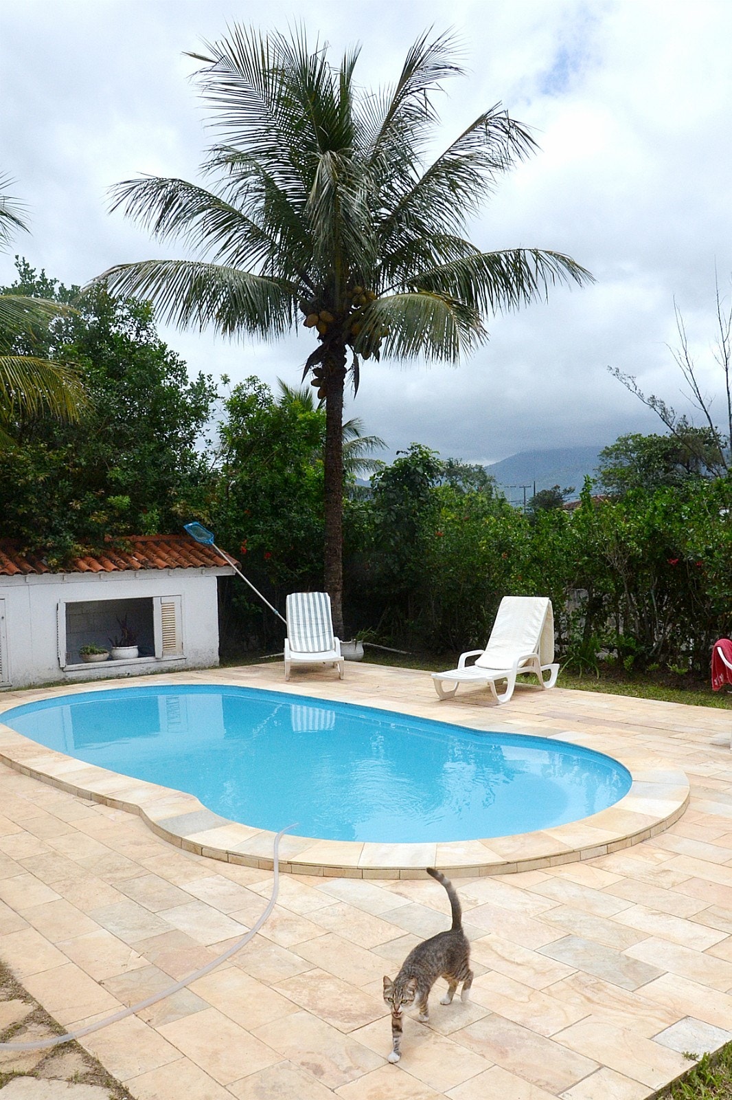 Bassenget Galleribilde