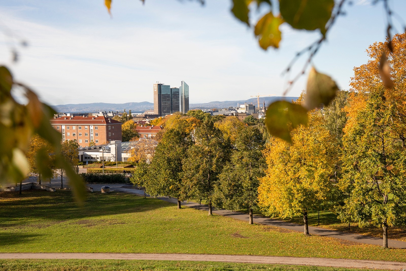 Tøyenparken. Galleribilde