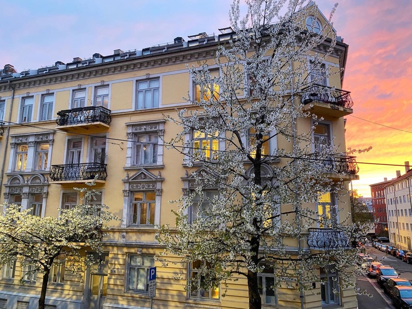 Når kirsebærtrærne i gata blomstrer er utsikten på balkongen ekstra vakker! Bildet er tatt av selger. Galleribilde