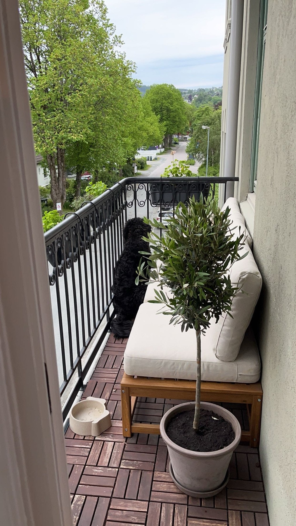 Sommerbilde fra balkongen - grønne og frodige omgivelser rundt bygget og balkongen i vår- og sommerhalvåret. Galleribilde