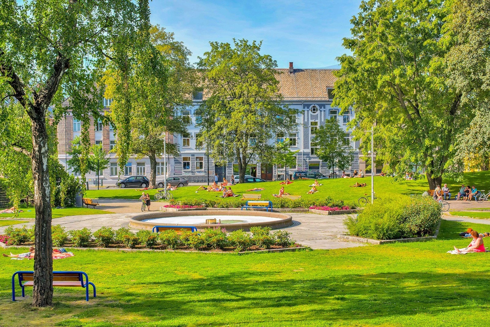 I nærområdet har man tilgang til Lademoen Galleribilde