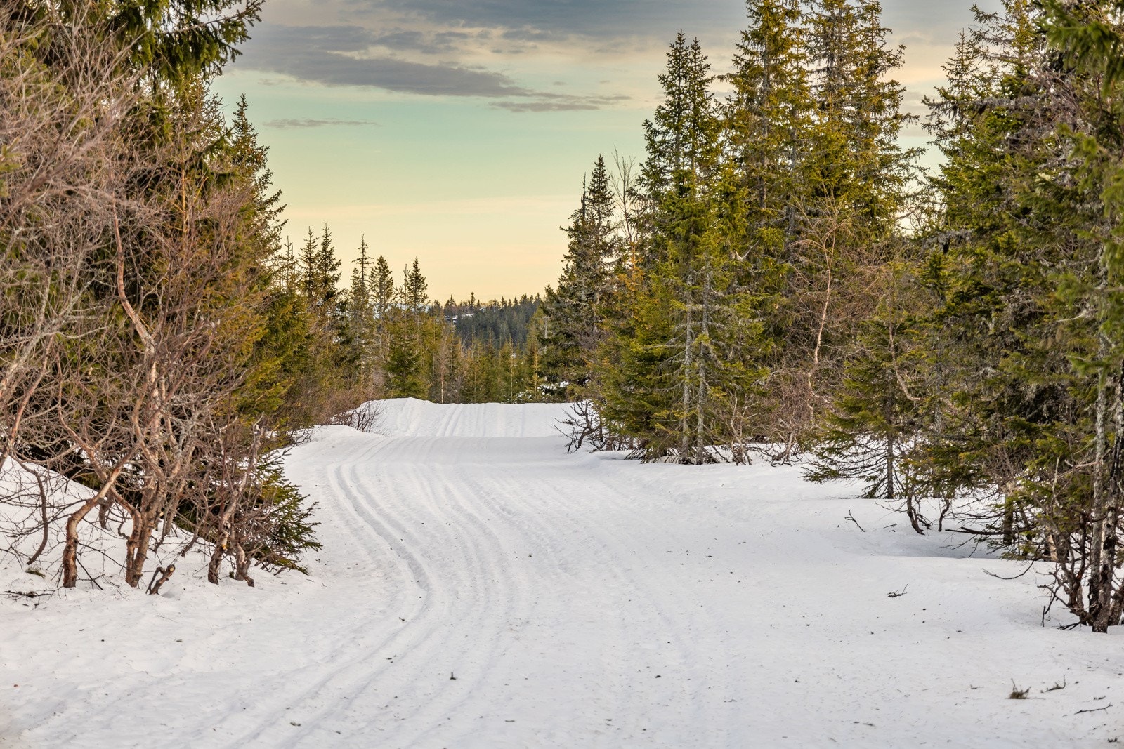 Her er det skiløyper som passer for alle aldre! Galleribilde