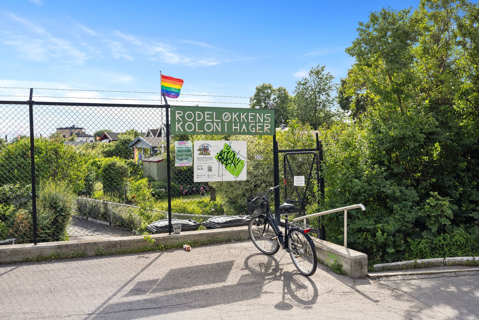 Kolonihagen på Rodeløkka som nærmeste nabo. Galleribilde