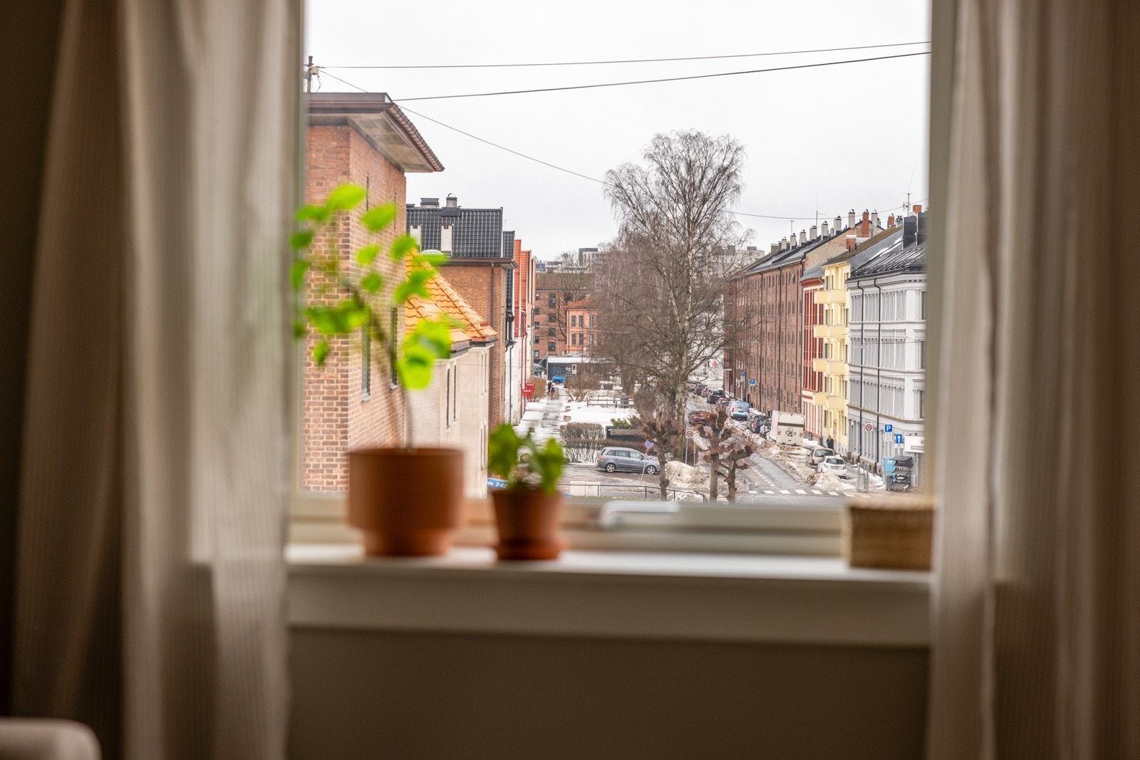 Hyggelig utsyn fra stuevinduet med forhagene langs nordsiden av Sarpsborggata Galleribilde