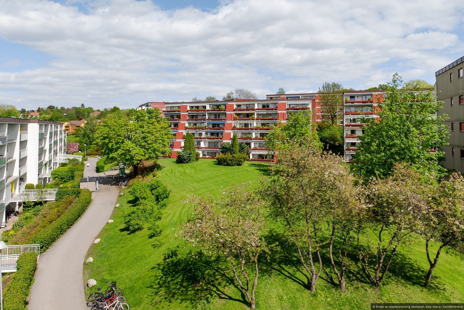 Fellesområde.jpg Galleribilde