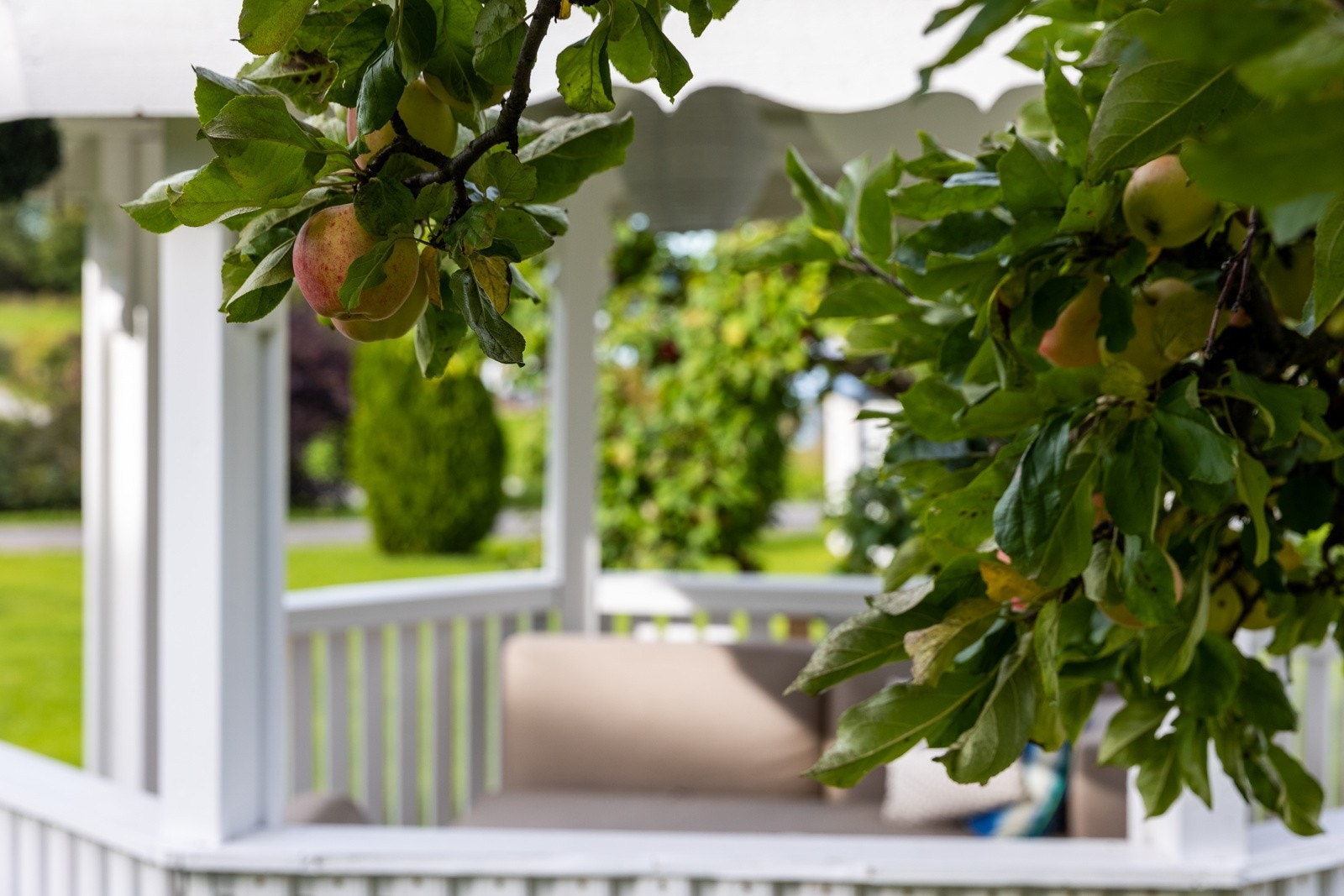 I tillegg kan du nyte kveldene i det frittstående lysthuset. Galleribilde