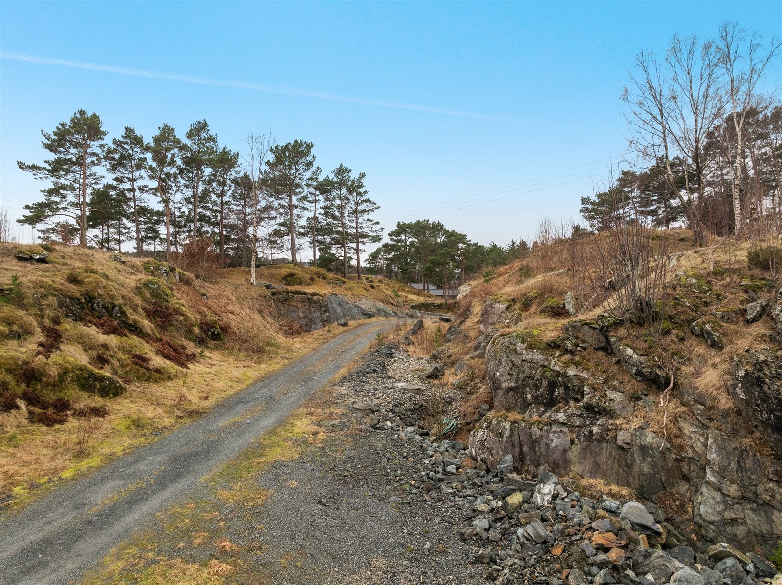 Bnr. 209 Galleribilde