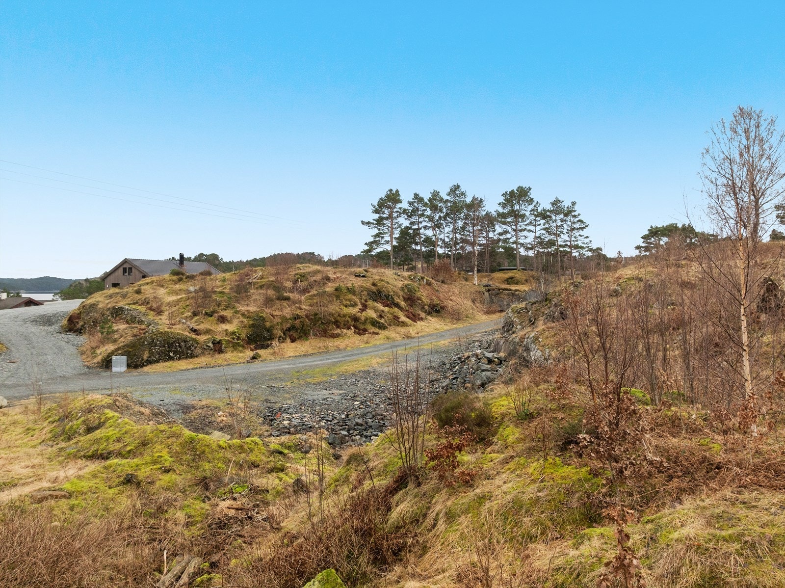 Bnr. 209 Galleribilde