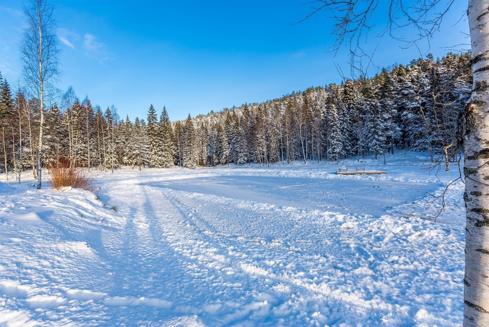 Isdammen med skøytebane Galleribilde