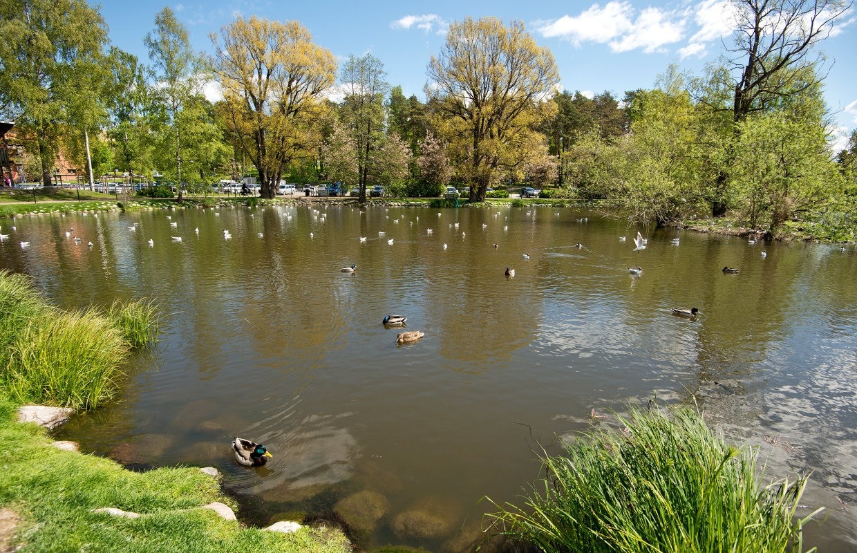 Stadspark Galleribilde