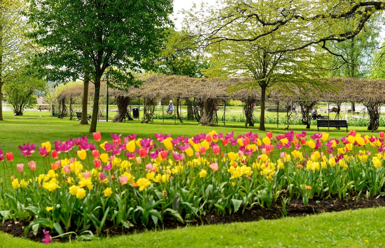 Stadsparken Galleribilde