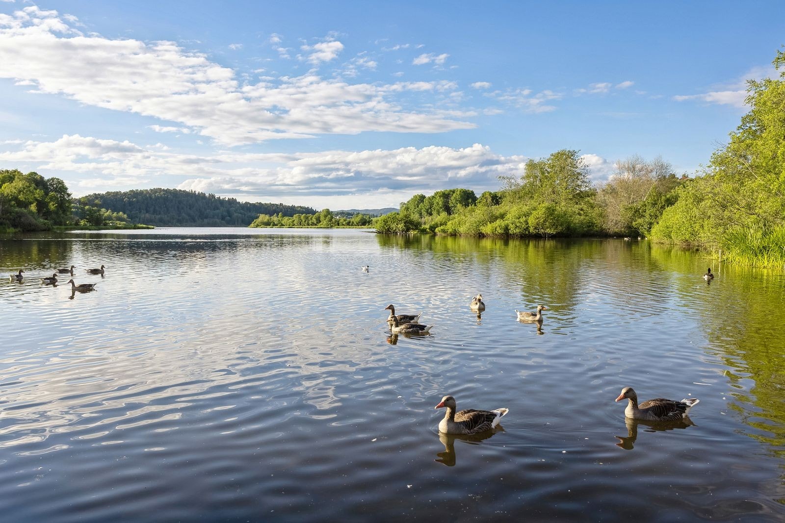 Østensjøvannet kan by på flotte tur- og rekreasjonsmuligheter, turveier videre inn i Østmarka. Galleribilde
