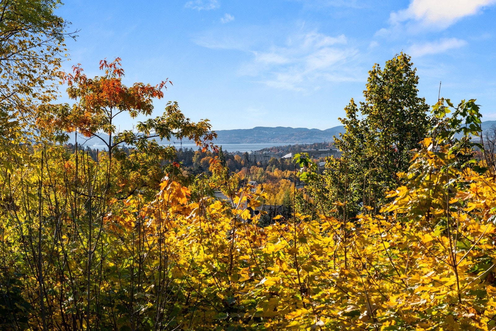 Utsikt fra 2. etg Galleribilde