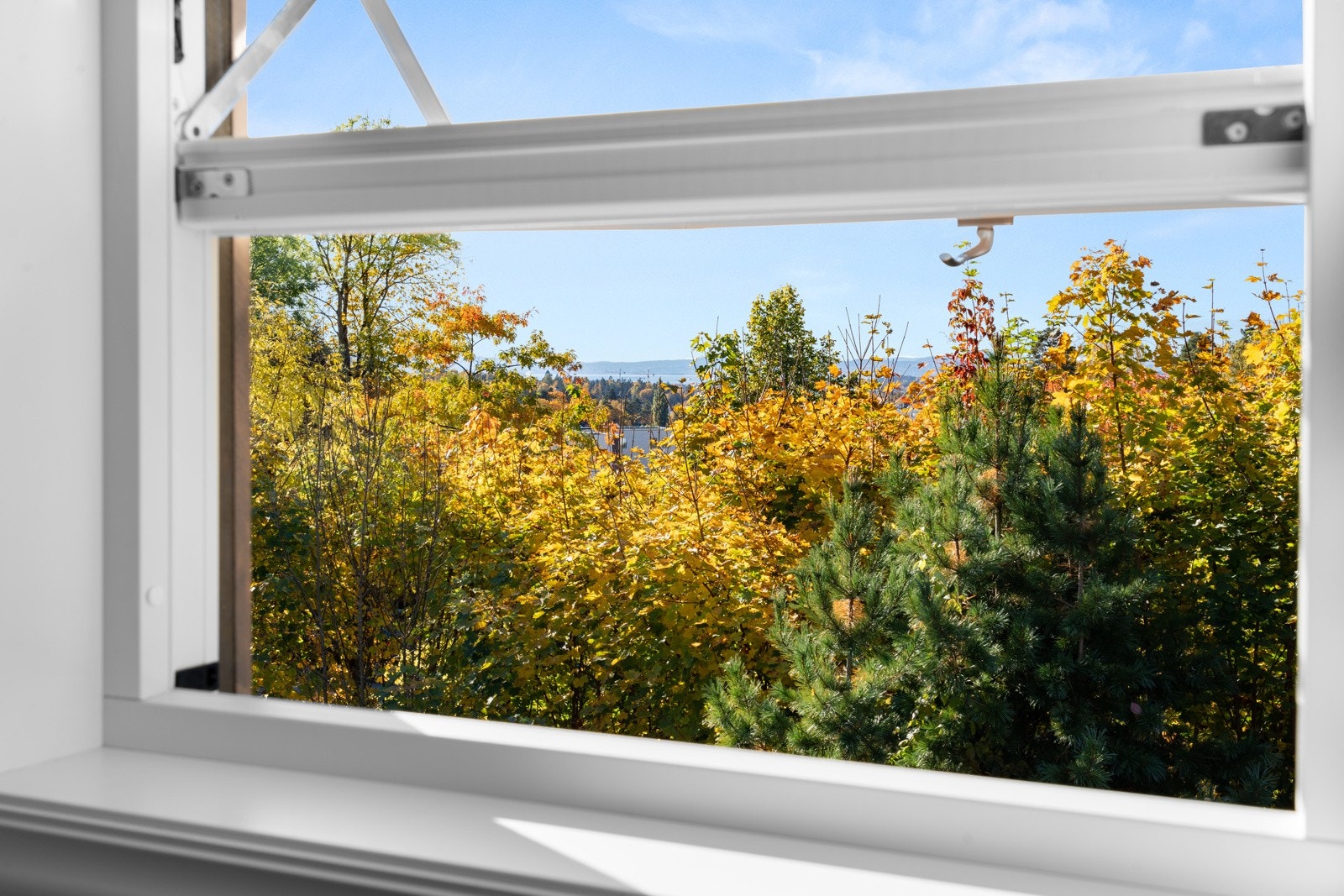 Utsikt fra 2. etg Galleribilde