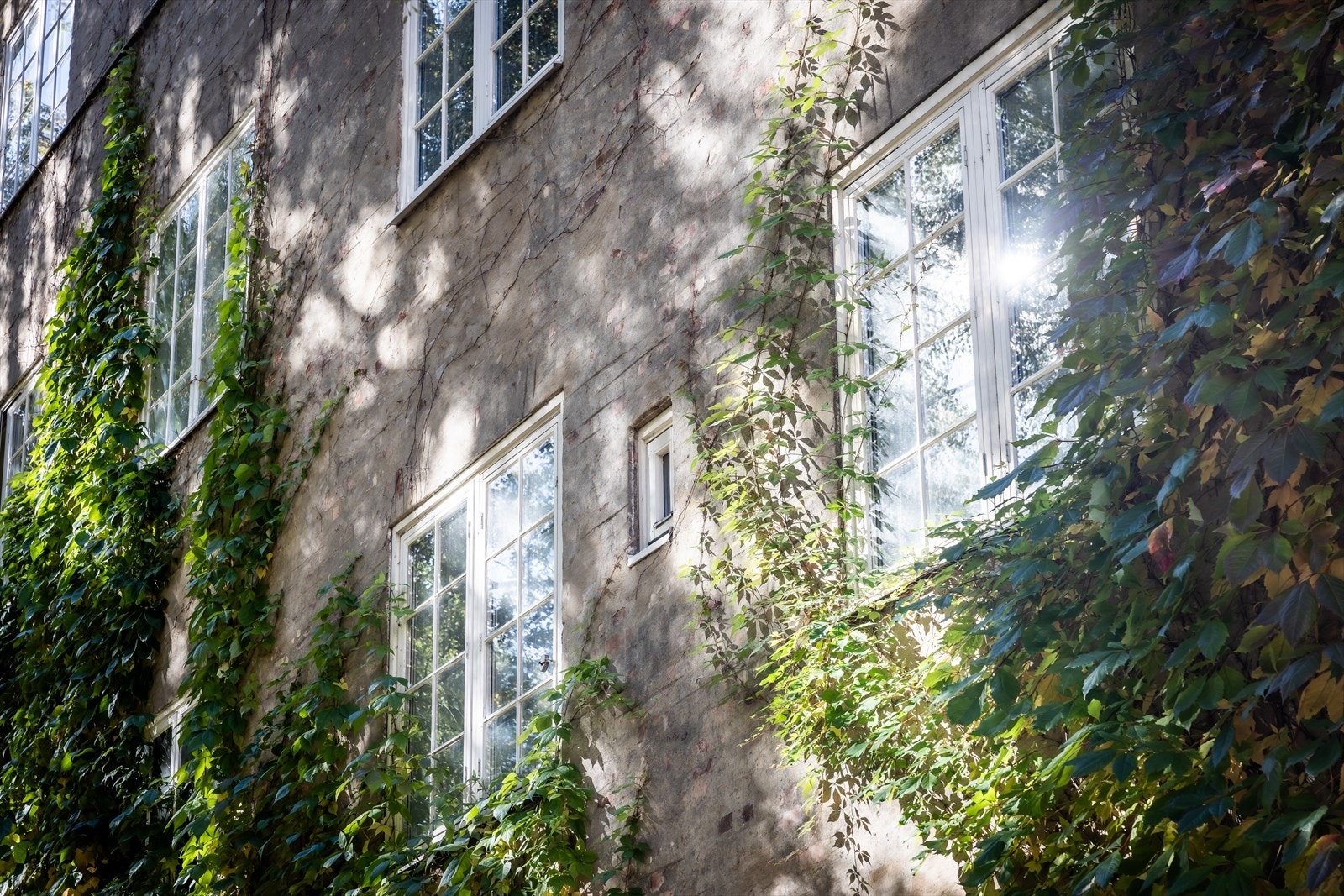 Gårdene ble oppført i årene 1919 til 1922 av arkitekt Harald Hals Galleribilde