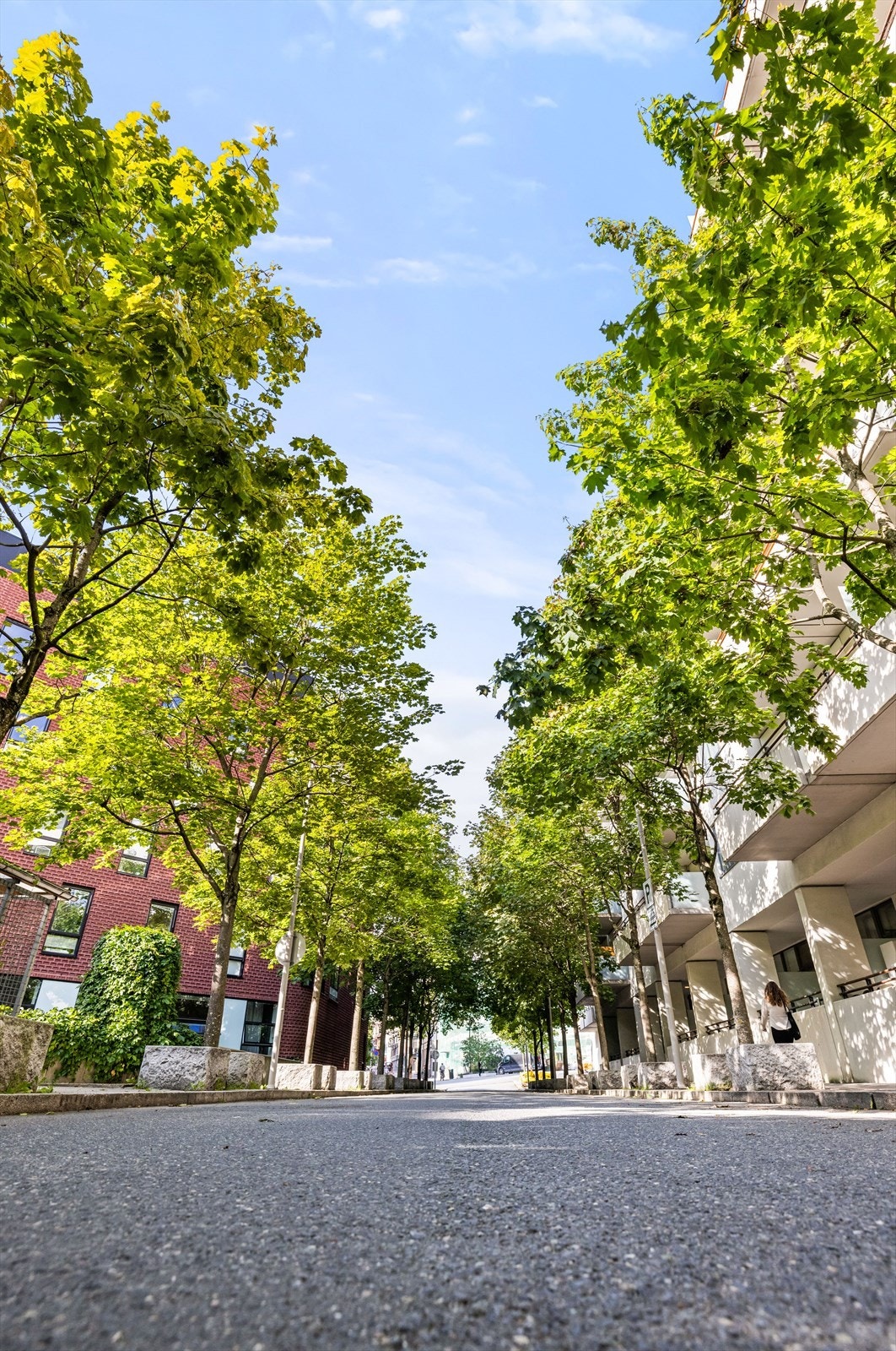 Husk å meld deg på til visning! Galleribilde