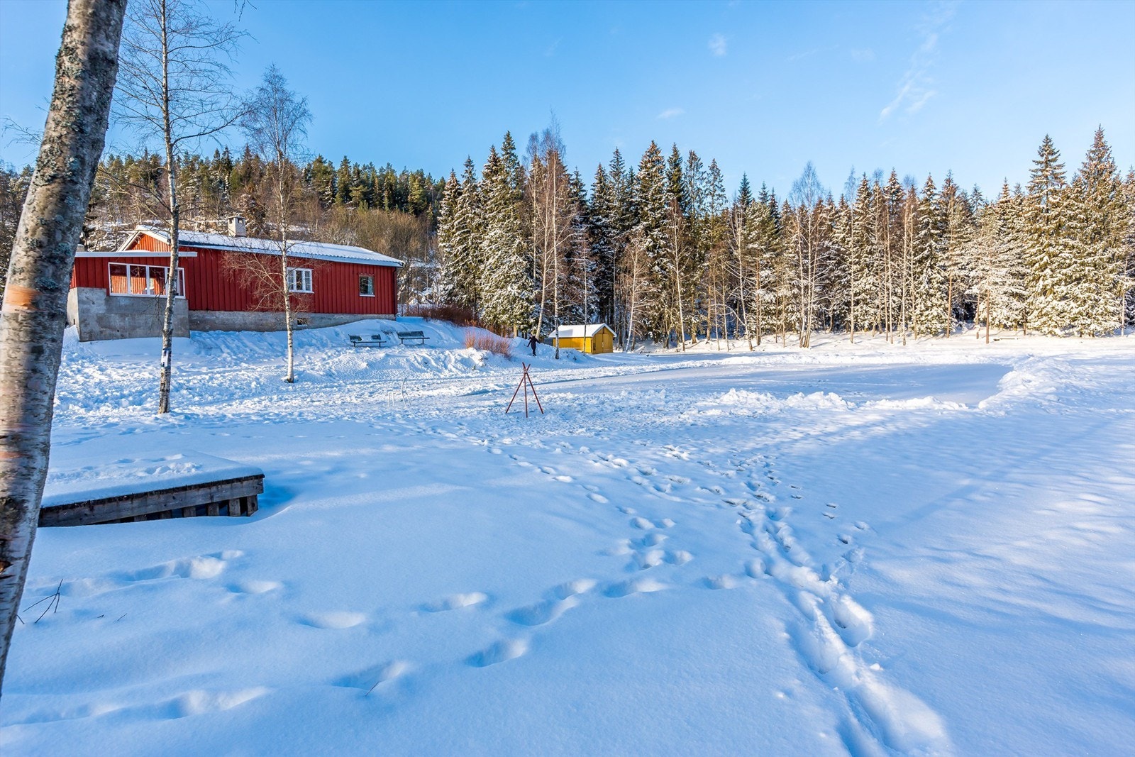 Isdammen med skøytebane vinterstid. Galleribilde