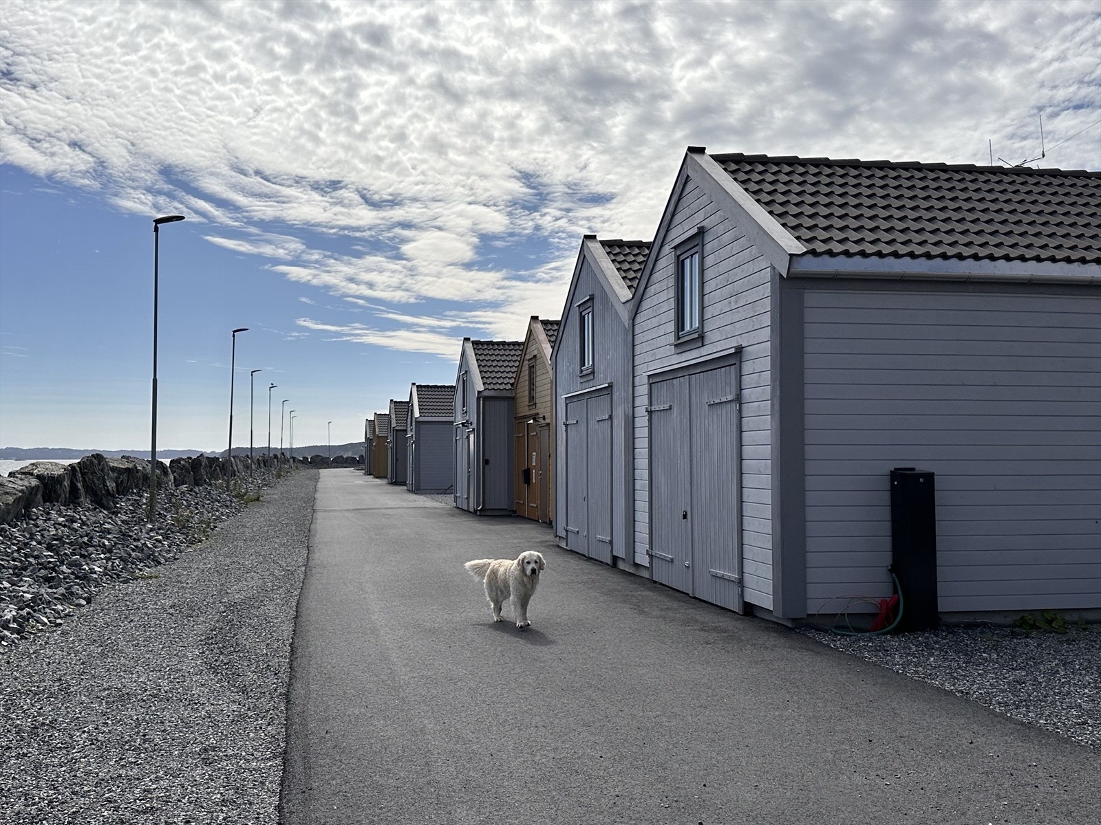 Vegen på baksida av nausta naust 34 til 48. Galleribilde