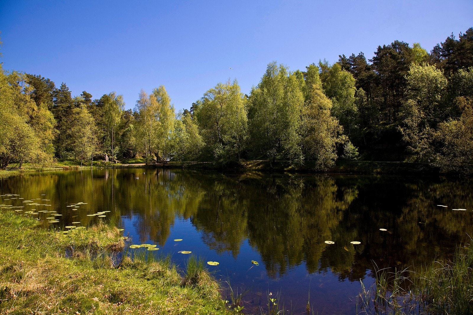 Baneheia Galleribilde