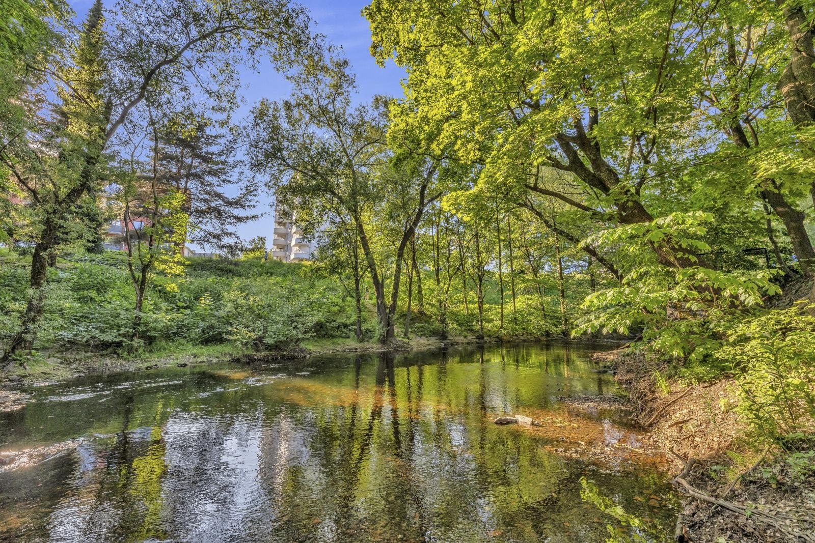 Flotte turområder rett utenfor døren Galleribilde
