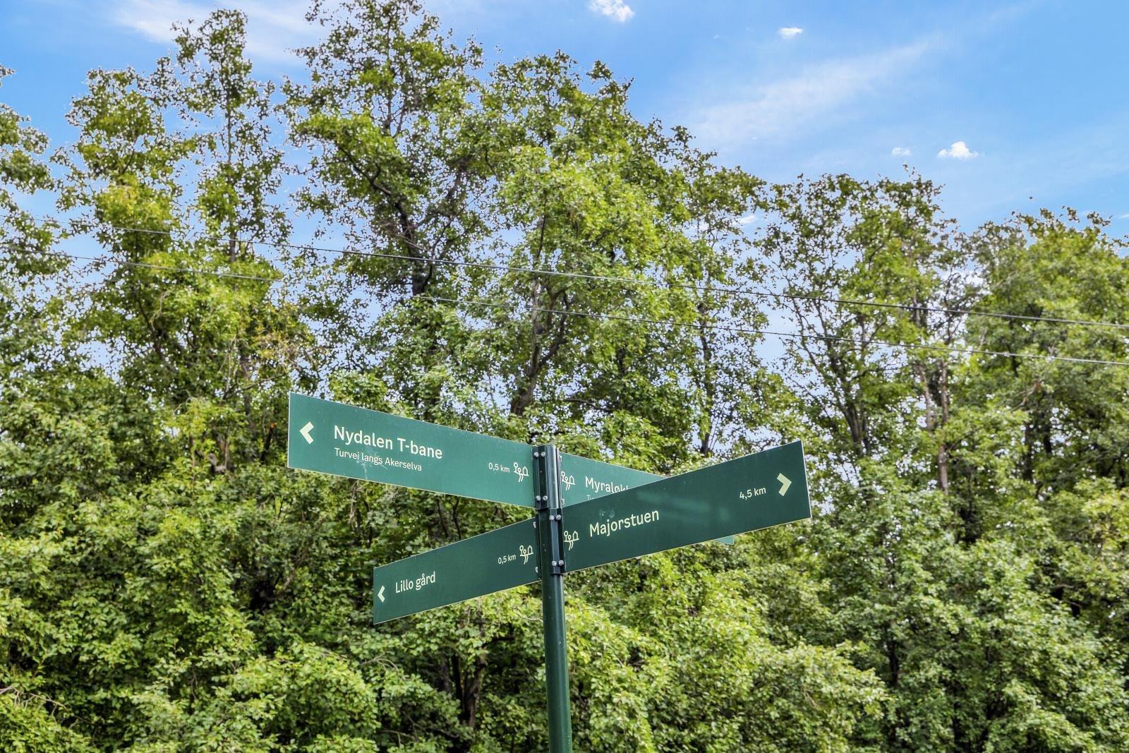 Sessongbilde Galleribilde