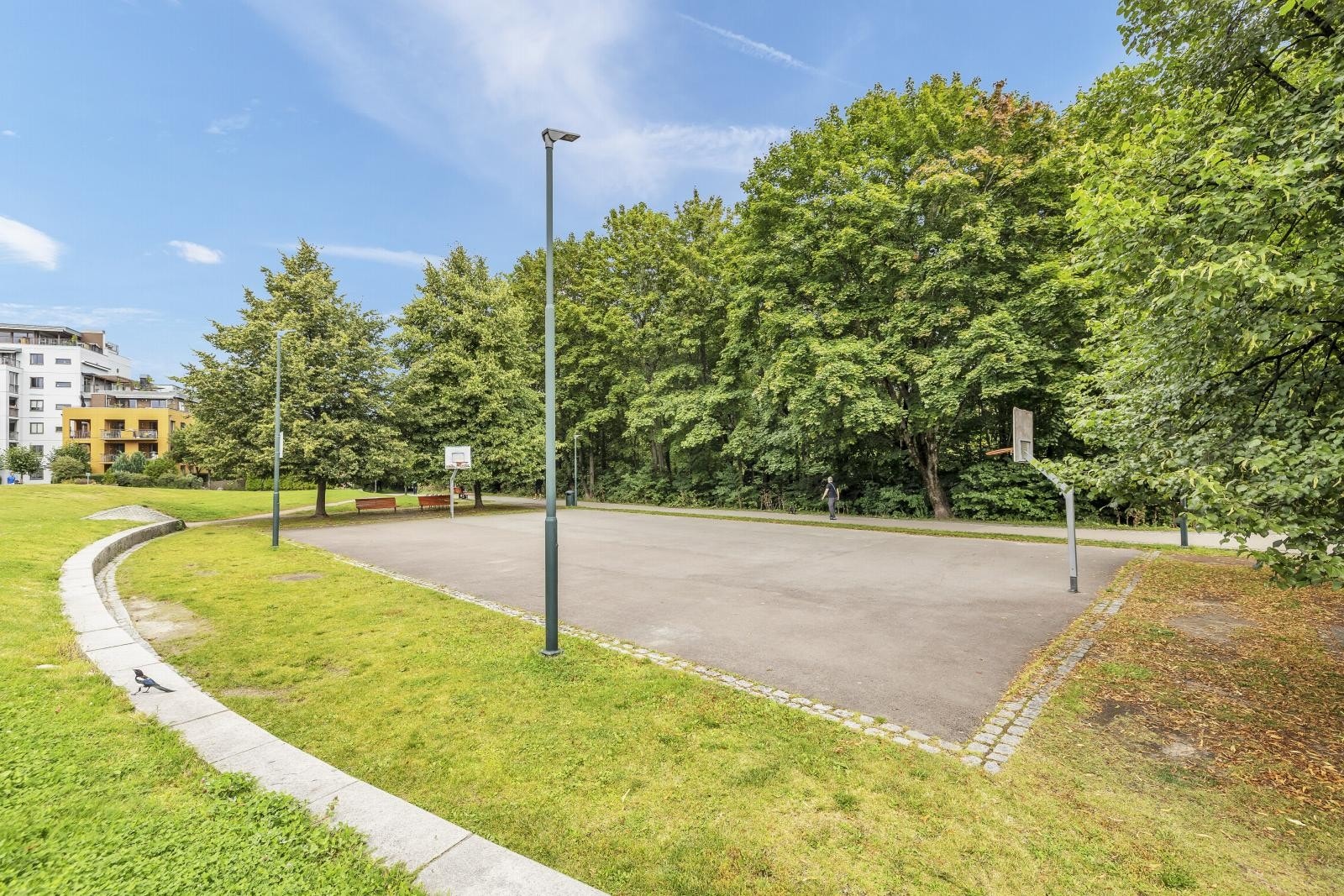 Flotte turområder rett utenfor døren Galleribilde