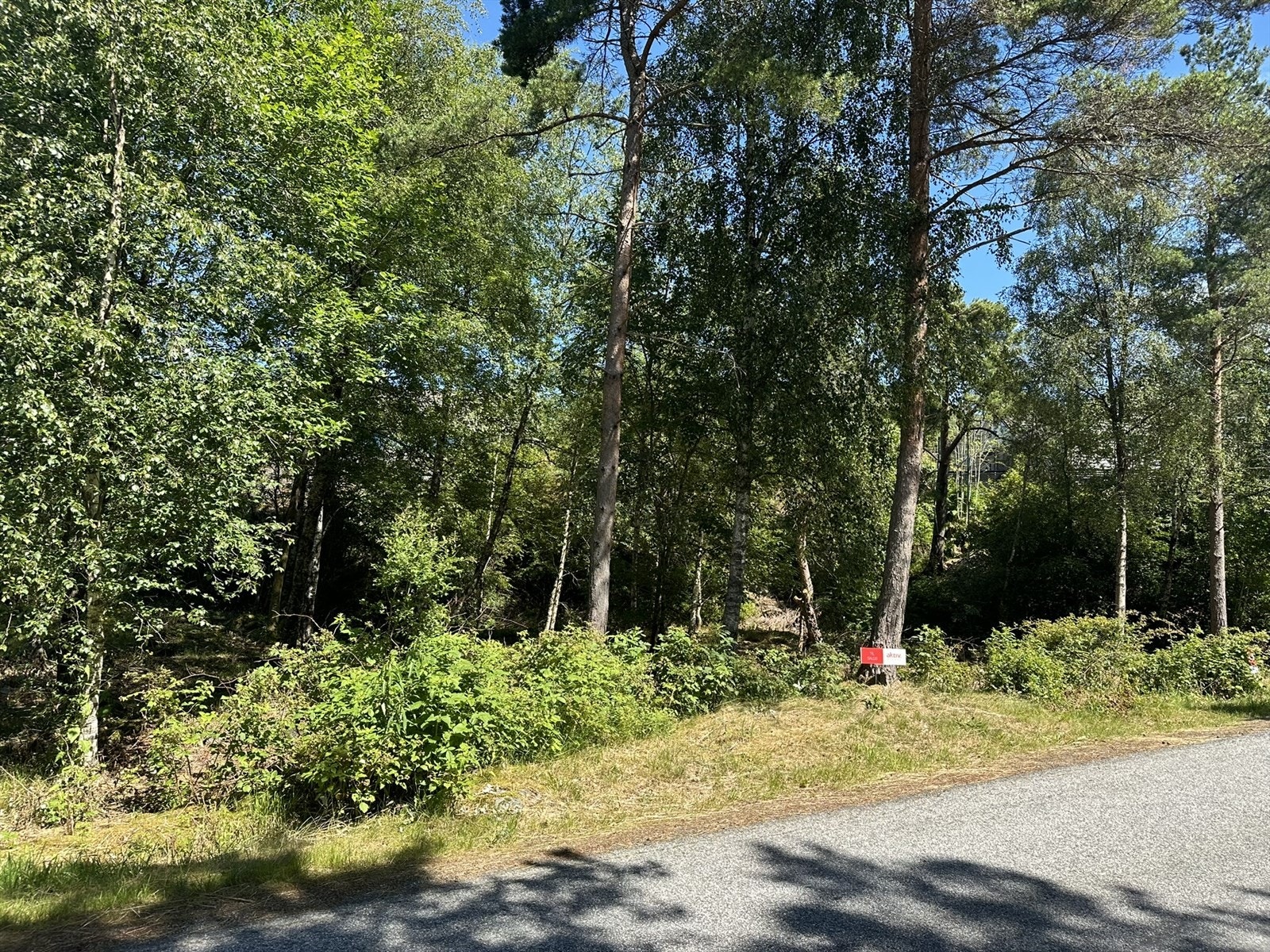 Det er kort veg til barnehage, kjekke turområder og Sagvåg sentrum. - Bilete tatt juni 2024 Galleribilde
