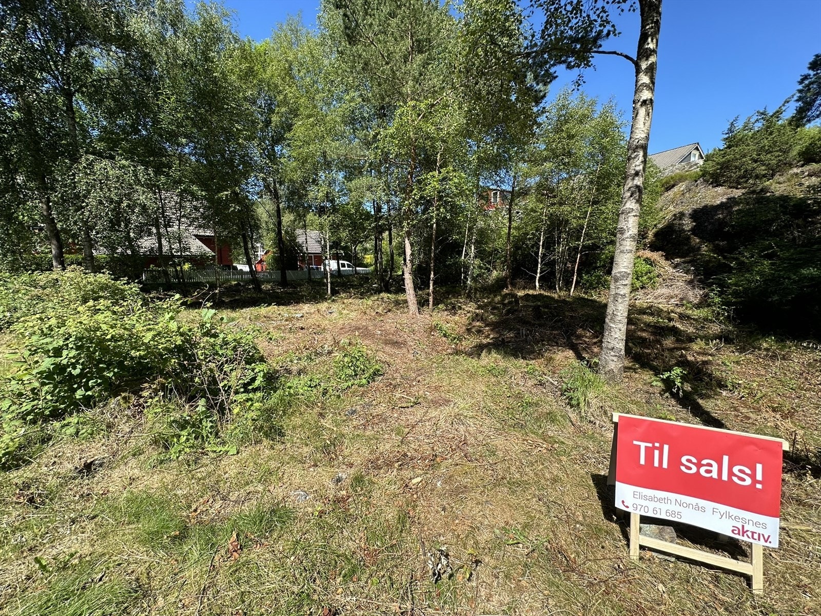 Nærbilete av tomta - tatt juni 2024 Galleribilde