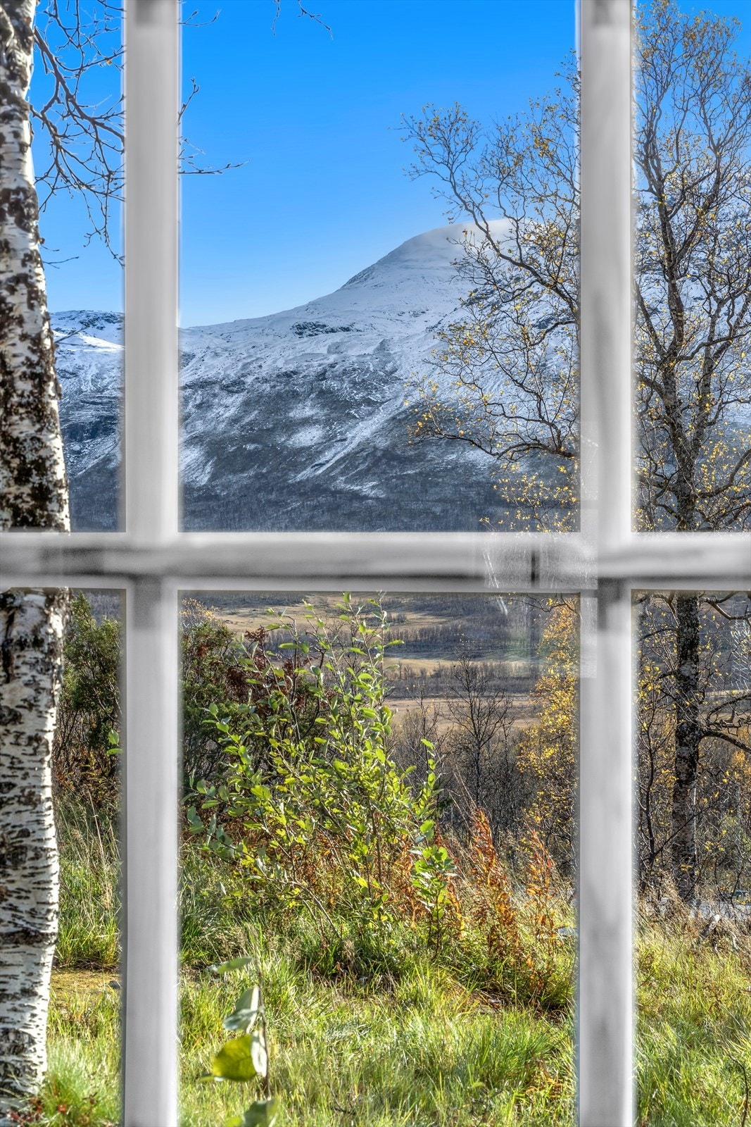 Utsikt fra hytte 1 Galleribilde