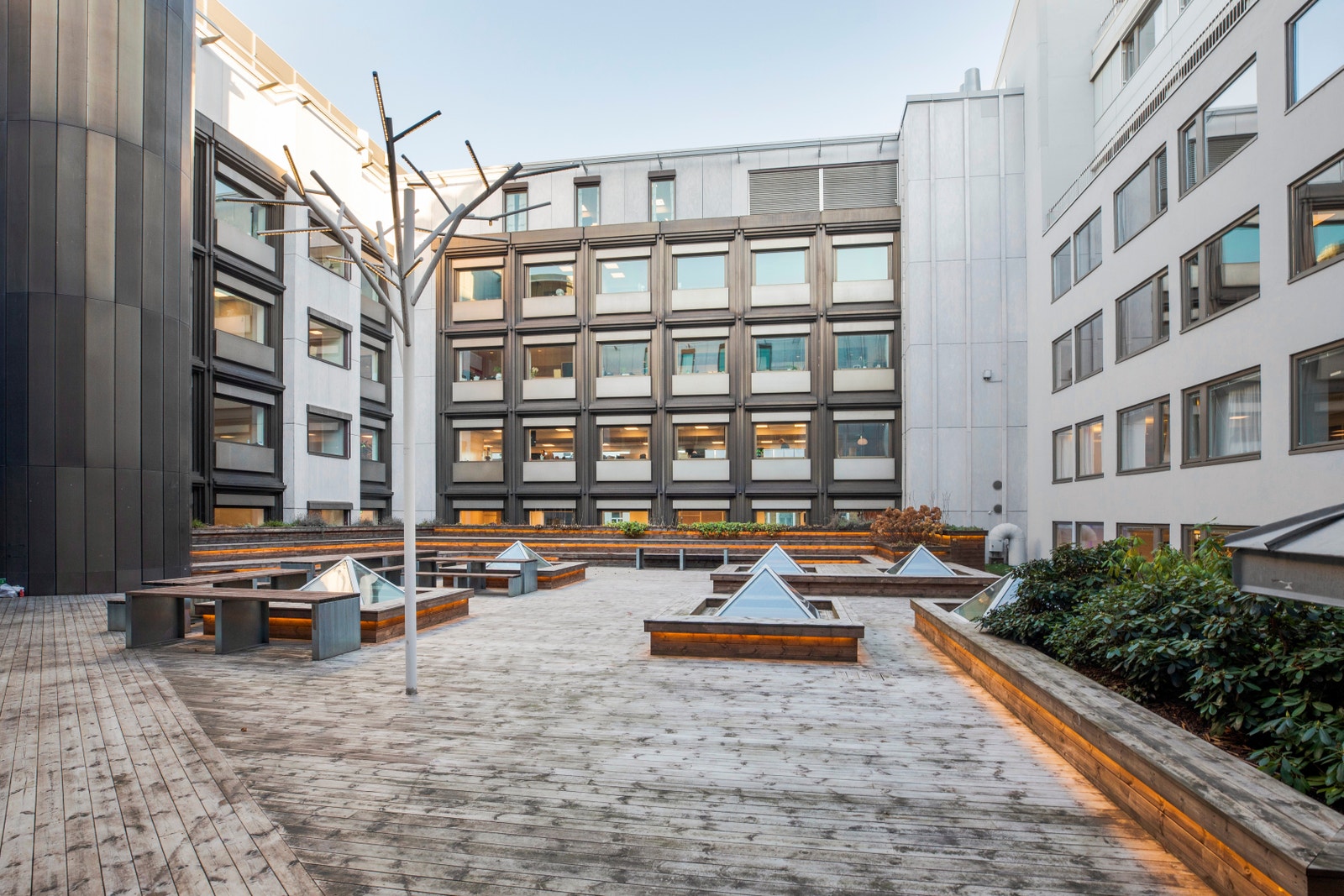 Felles bakgård Galleribilde