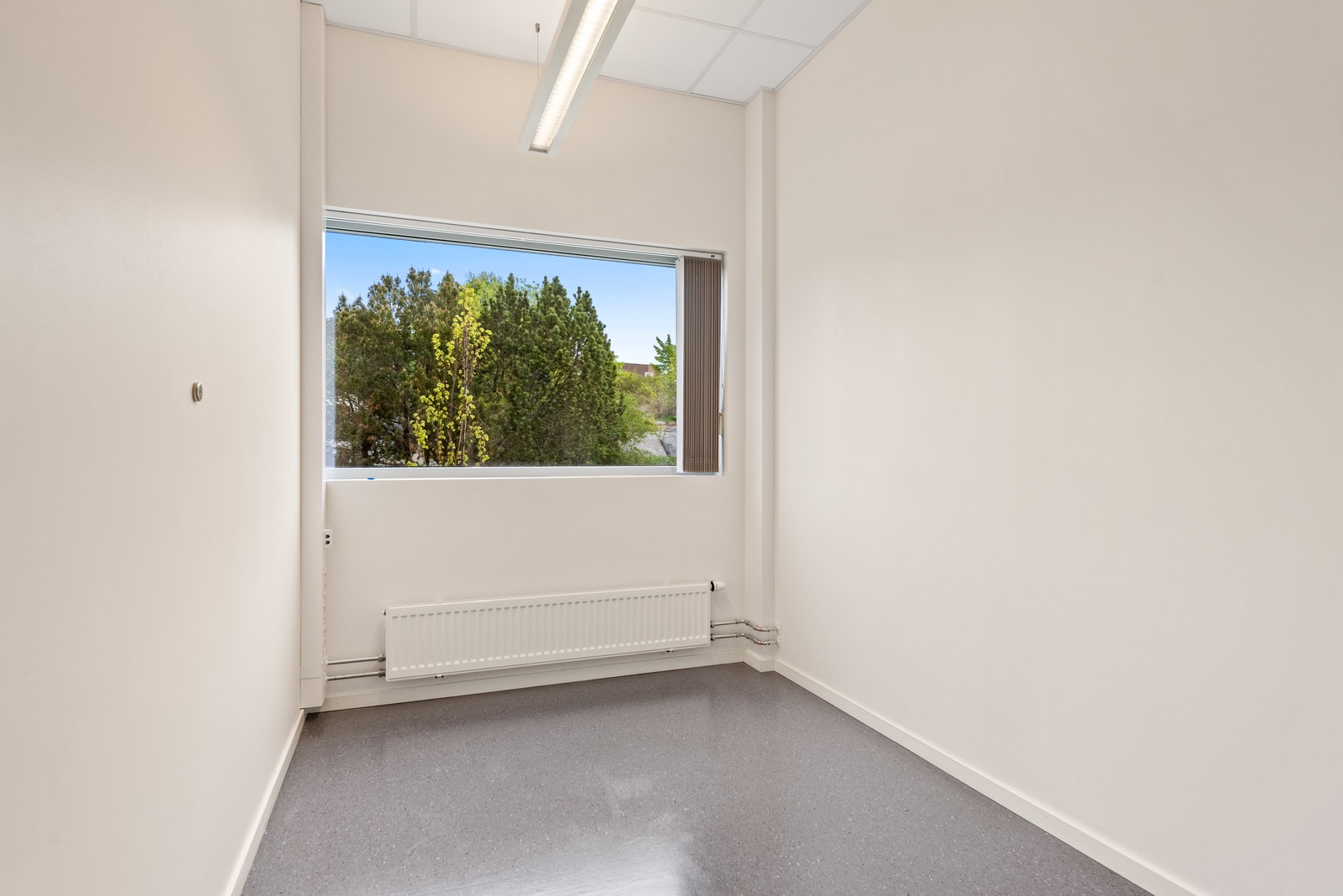 Cellekontor Galleribilde