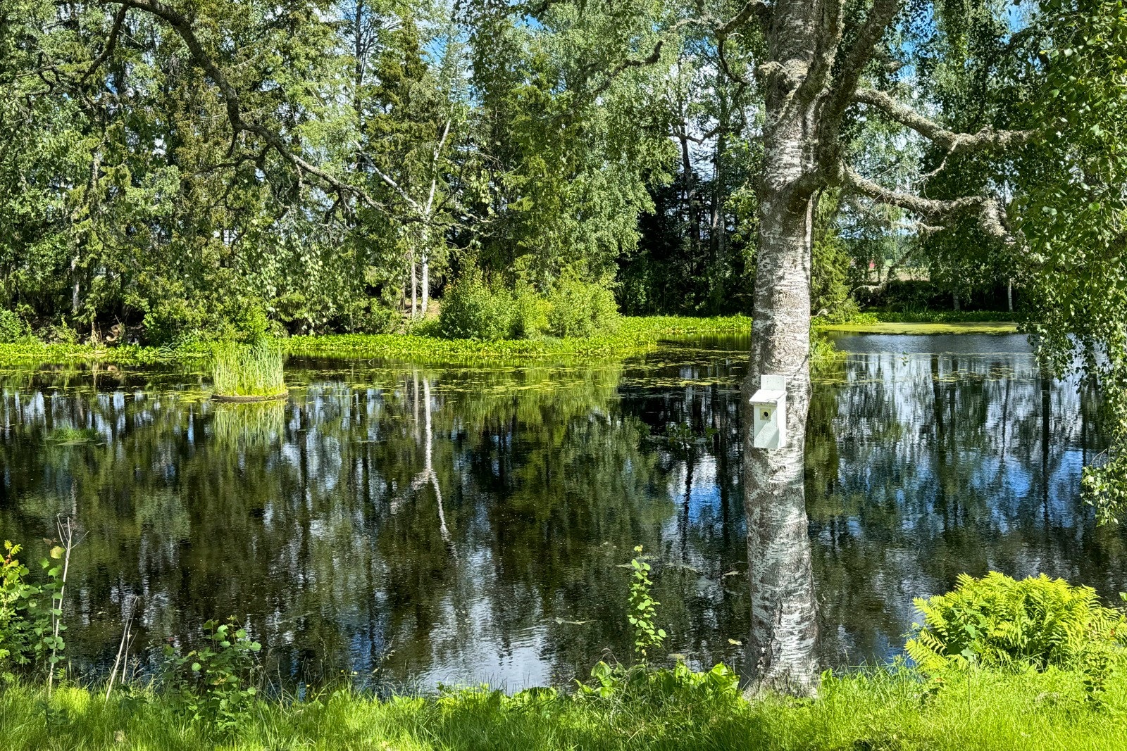 Gårdsdam Galleribilde
