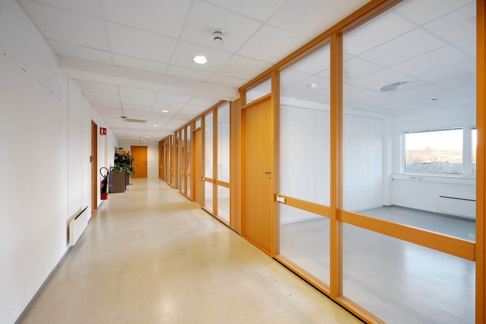 FCL01430 Galleribilde