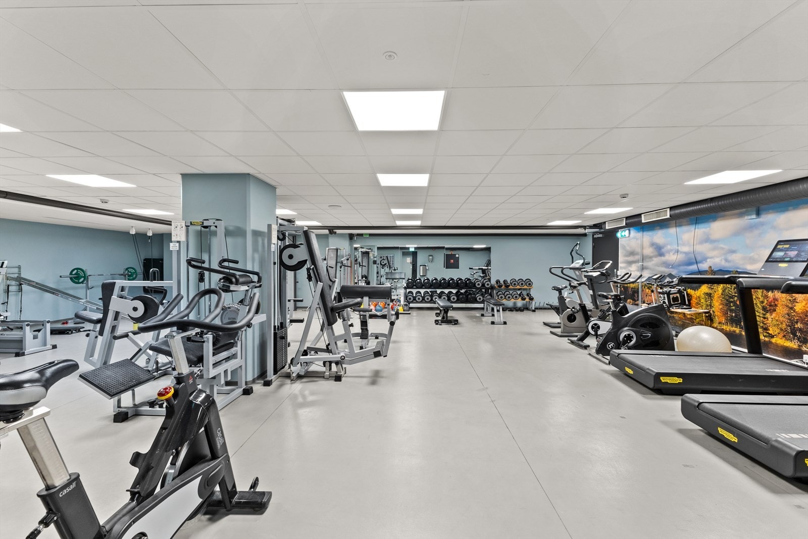 Treningsrom Galleribilde