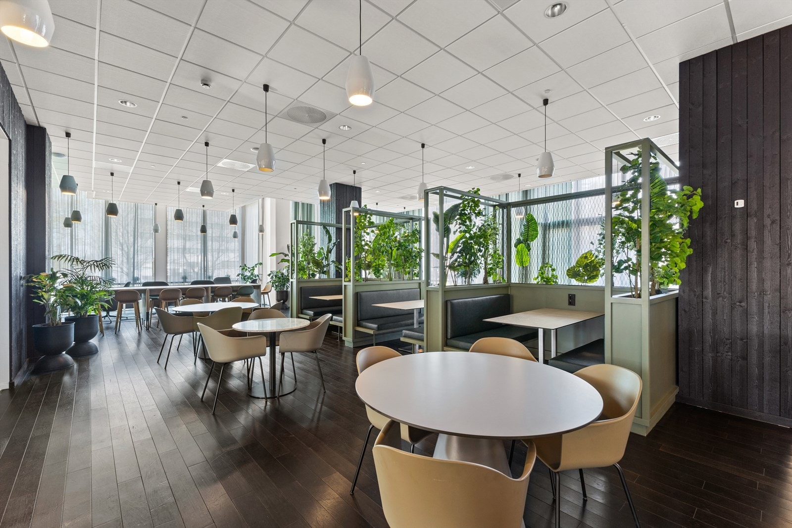 Felles kantine Galleribilde