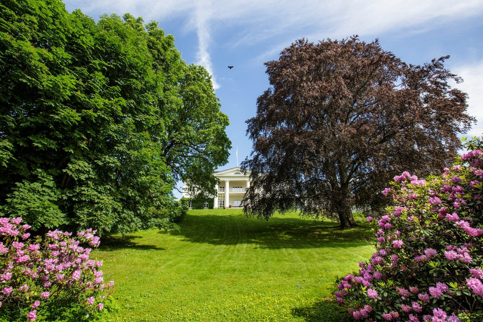 Uteområde Galleribilde