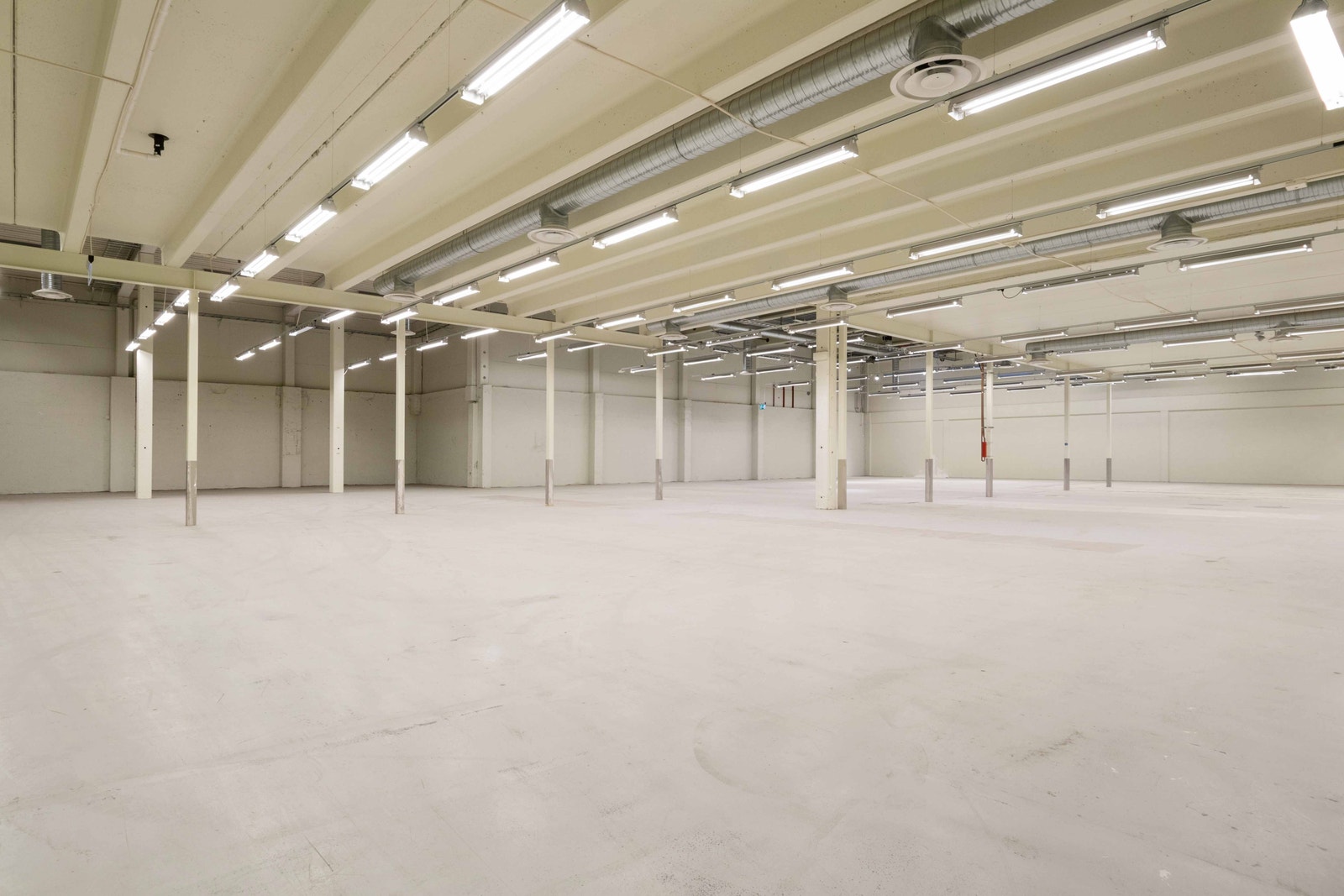 Seksjon 2: Perfekt for storhandel, og mulighet for egen kjøreport. Galleribilde