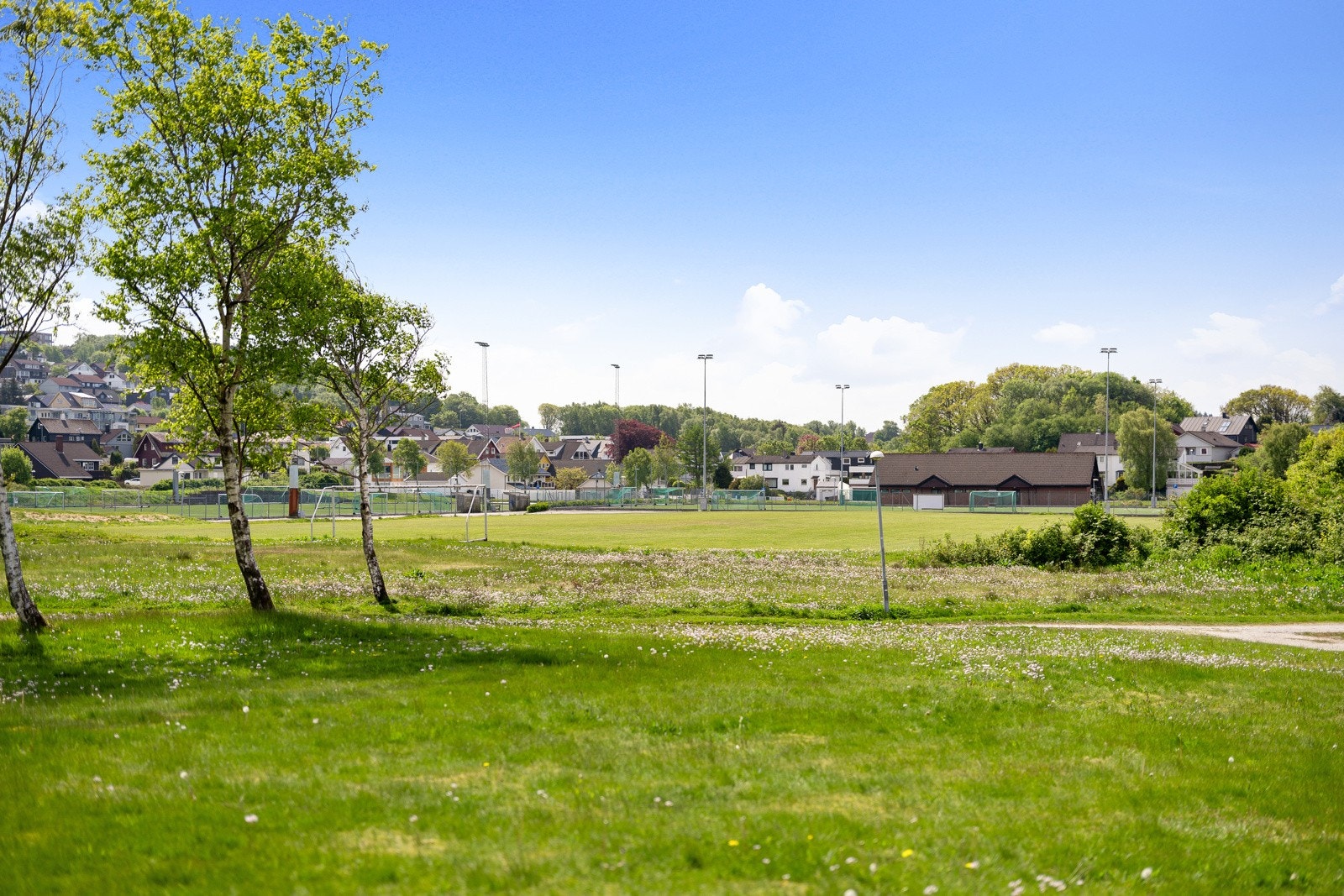 Nærområde Galleribilde