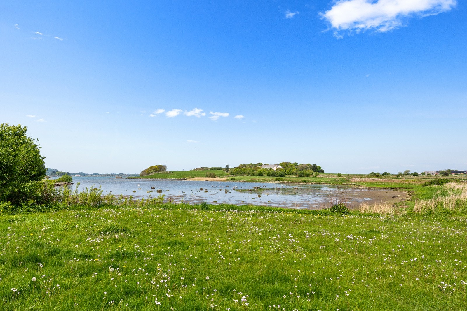 Nærområde Galleribilde