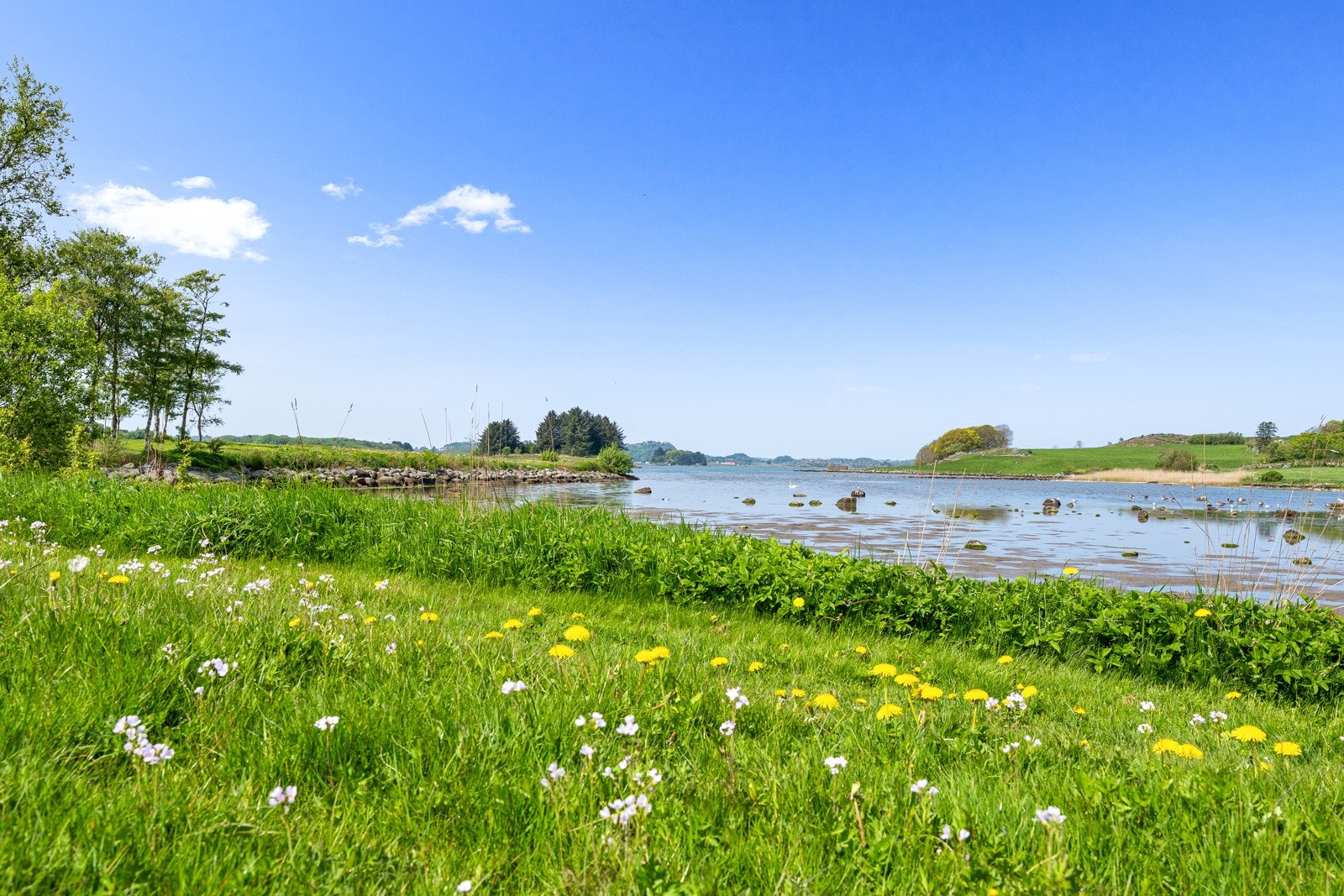 Nærområde Galleribilde