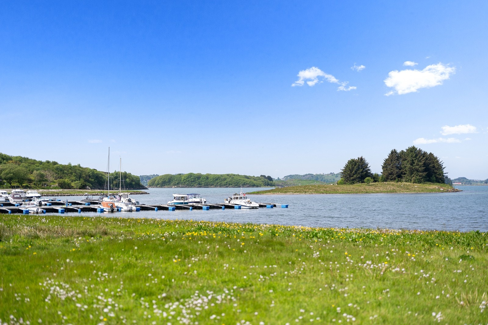 Nærområde Galleribilde