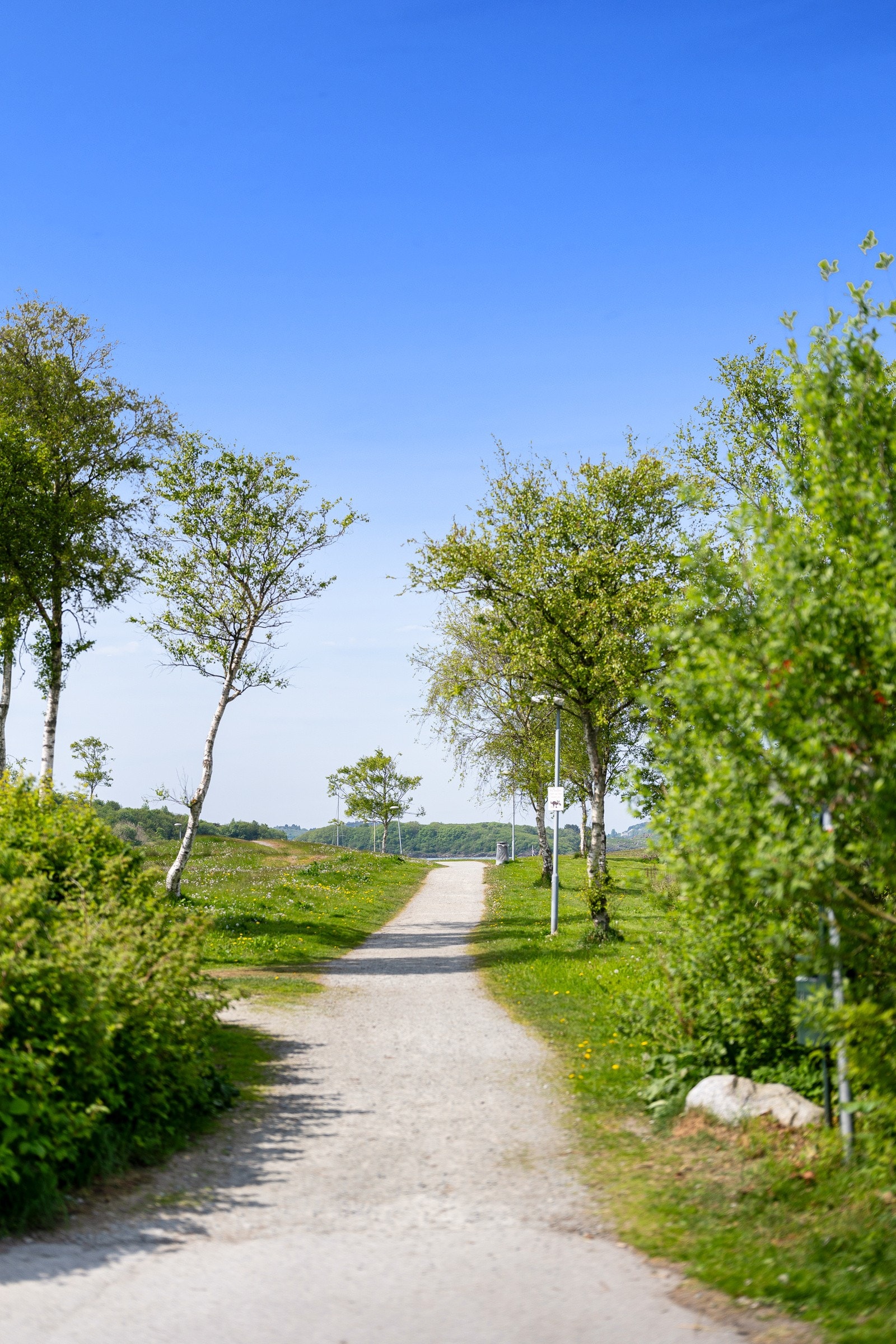 Nærområde Galleribilde