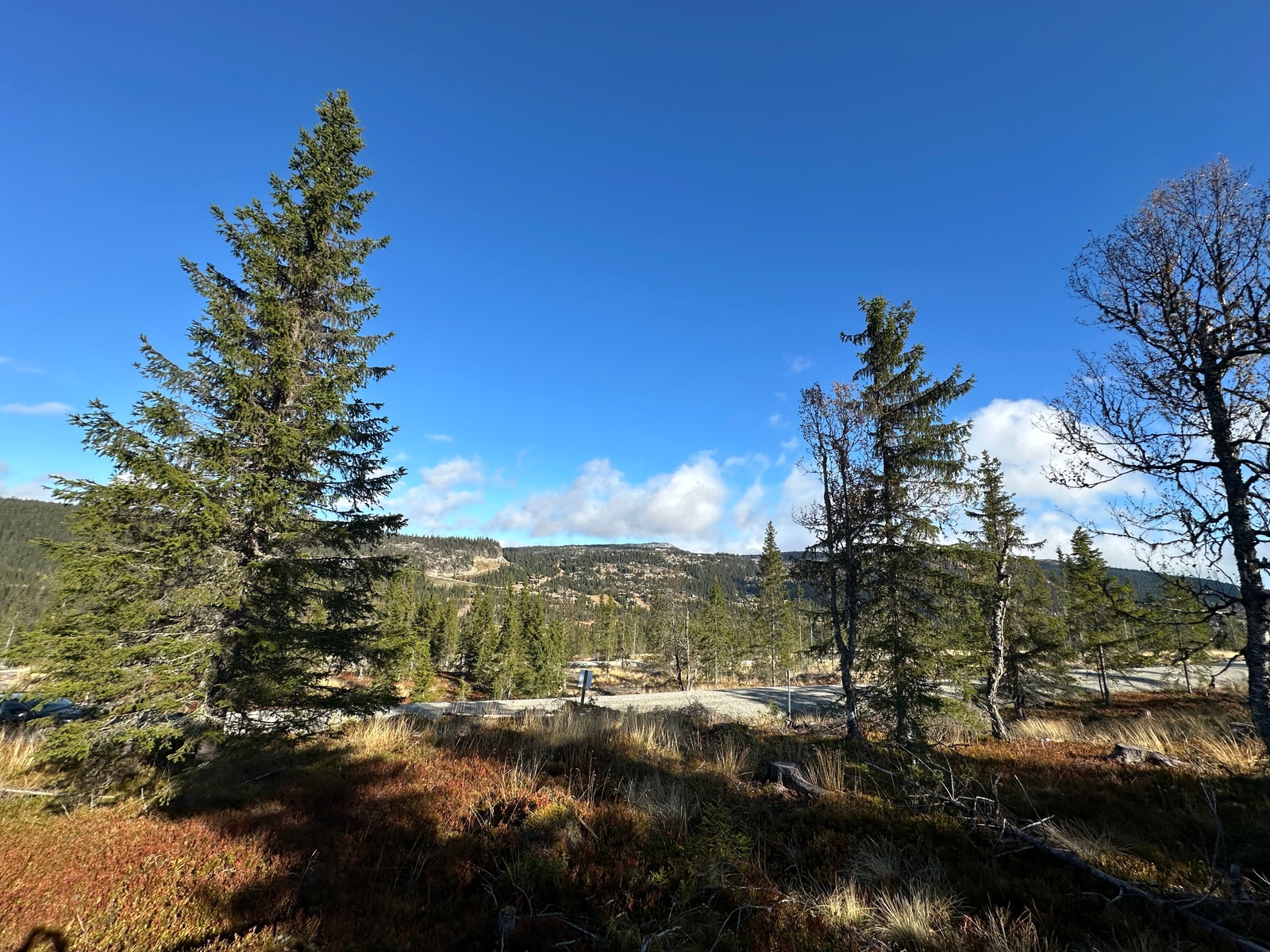 Utsikt fra tomt 67 mot vestsiden av Kvitfjell Galleribilde