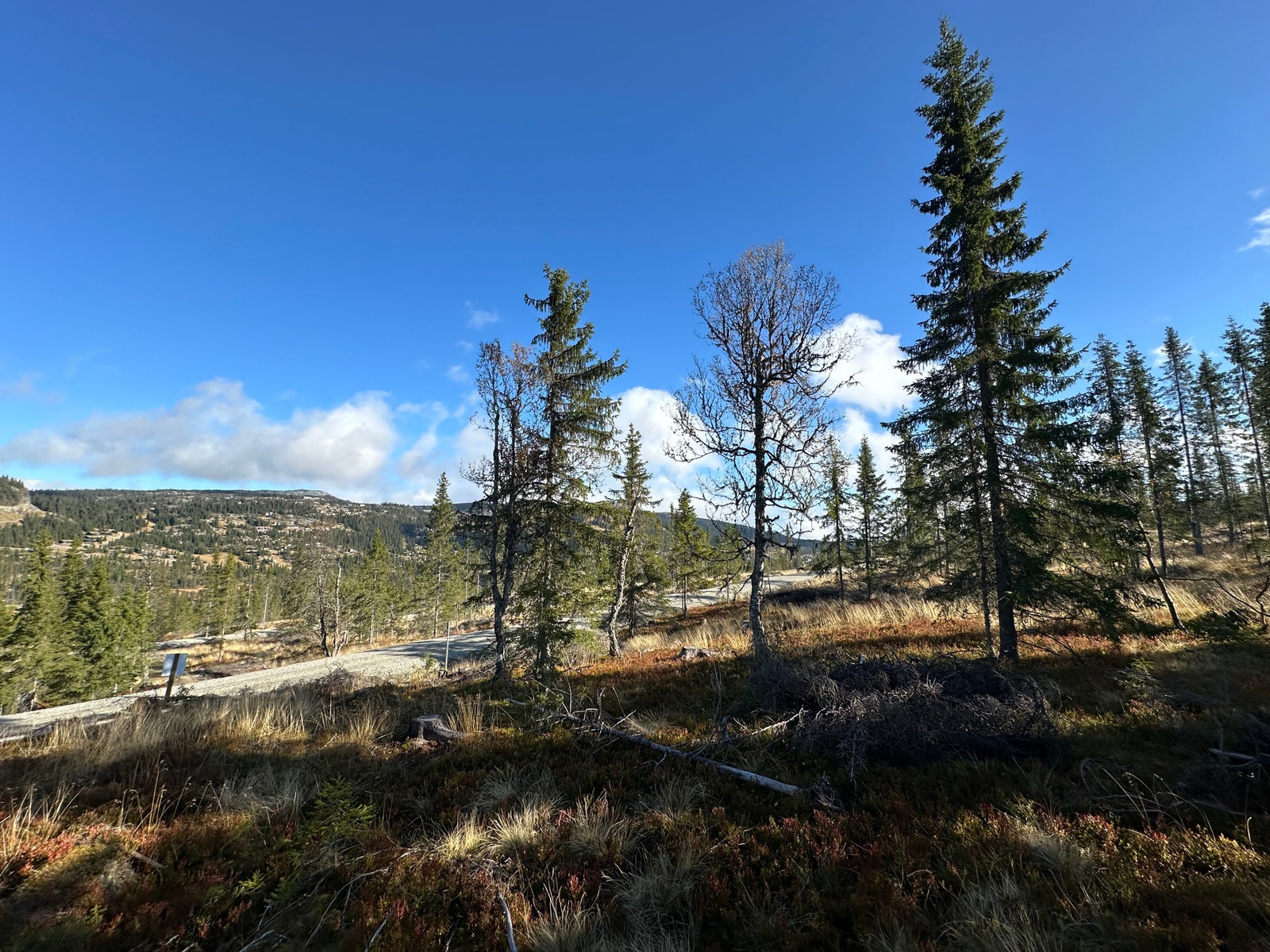 Utsikt fra tomt 67 mot vestsiden av Kvitfjell Galleribilde